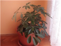 e7e53be8-Picture 011.jpg